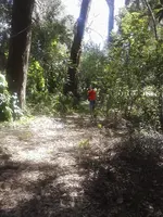 SprintPhoto_bqccbi.webp