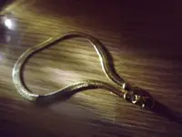 DSCF1231.webp