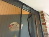DSCF1187.webp