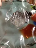image-686013320.webp
