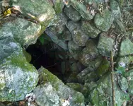 NH FINDS 09-28.6.webp