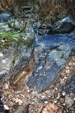 creek 012.webp