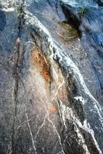 creek 015.webp