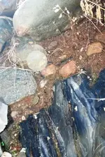 creek 019.webp