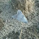 IMG_20121011_071531.webp