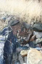 creek 024.webp