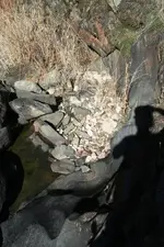 creek 021.webp