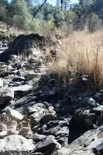 creek 022.webp