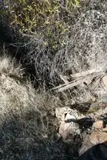 creek 033.webp