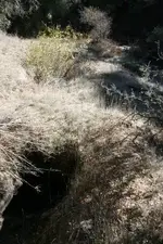 creek 034.webp