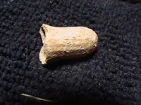 PISTOL_BULLET.webp