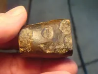 meteor 003.webp