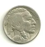 buffalo 003.webp
