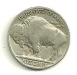 buffalo 004.webp