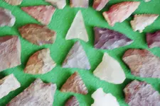 IMG003.webp IMG003.webp