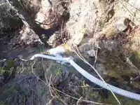 100_2454.webp