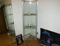display case 006.webp
