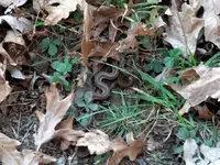 ForumRunner_20121022_160919.webp