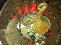 photo 5.webp