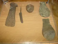 display case 005.webp