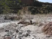 l (15).webp