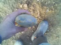 IMAG0012.webp