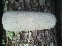 IMAG0050.webp