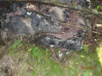 P9190408-E-for-Web.webp