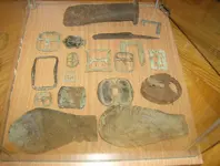 display case 2 002.webp