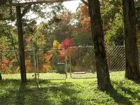 018.webp