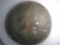 2012-10-31 15.04.07.webp