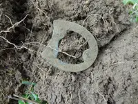Metal Detecting 463.webp