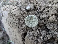 Metal Detecting 467.webp
