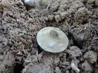 Metal Detecting 468.webp