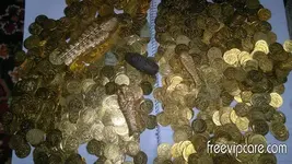 1350328885_2.webp