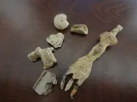 Metal Detecting 478.webp