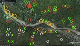 Dutchman treasure location-Capt.Betances.webp