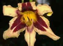 PA014864.webp
