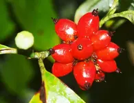 PA014871.webp