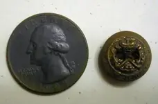 button comp.webp