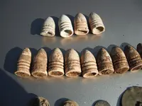 beach 2012 155.webp