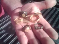 IMG00497-20121022-1425.webp