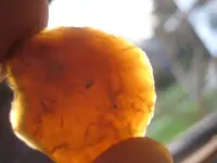 mandan.novaculite 012.webp