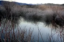 11-23d.webp