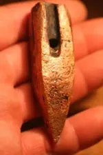 NH FINDS 02-23 028.webp