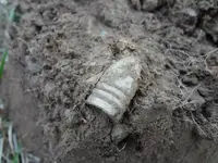 Metal Detecting 438.webp