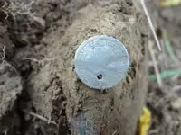 Metal Detecting 440.webp