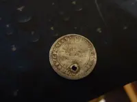 Metal Detecting 442.webp
