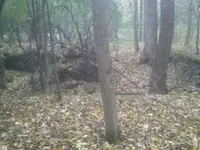 2012-10-15_18-08-19_422.webp