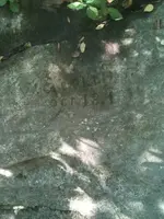image-685438243.webp